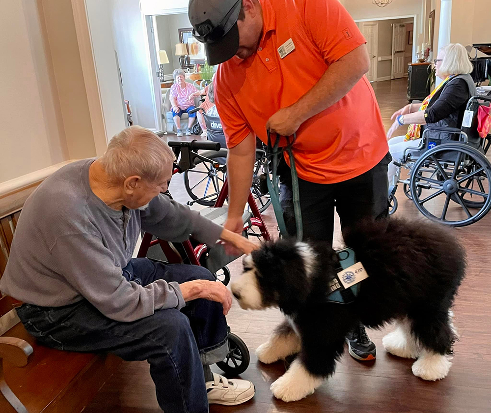 Ollie the Therapy Dog
